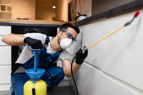 Best Best Pest Control Companies  in Tyrone, GA