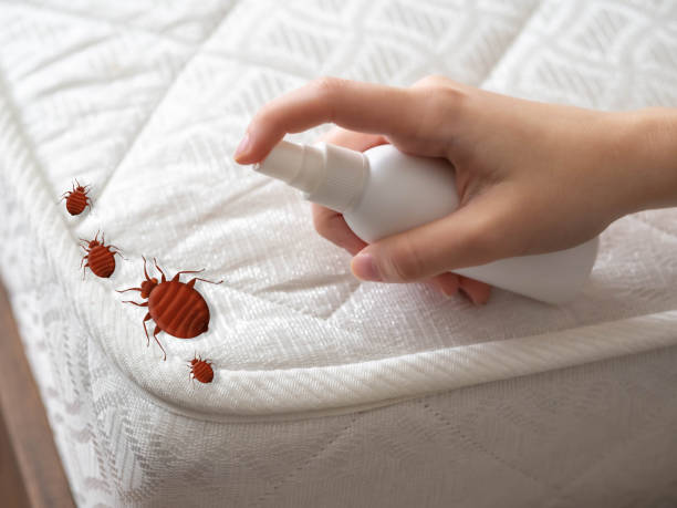Best Pest Prevention Services  in Tyrone, GA