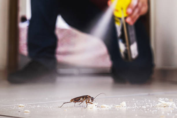 Best Insect Control  in Tyrone, GA